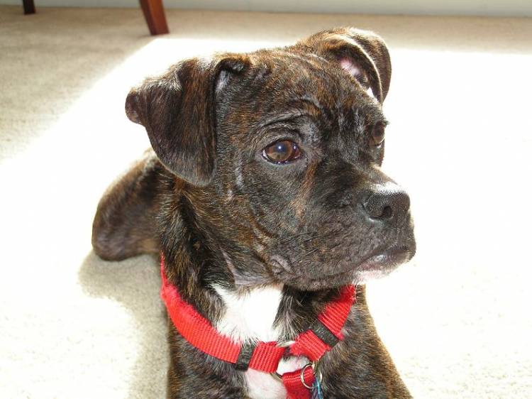 Ernie01
