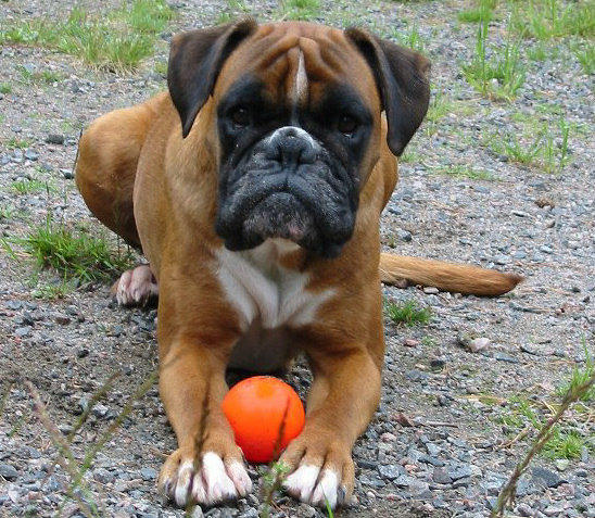 Ester and her ball