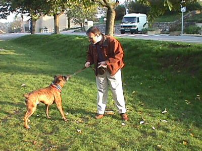 Esteve and Bismarck
