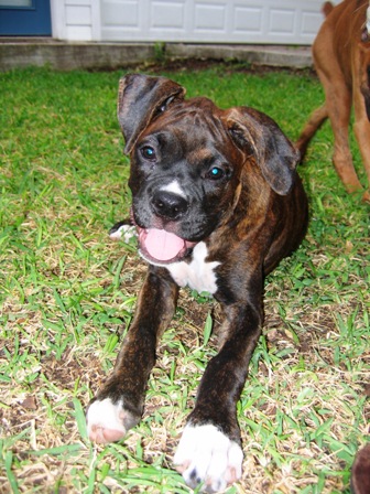 Eva at 16 Weeks!