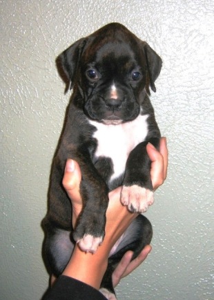 Eva at 6 Weeks
