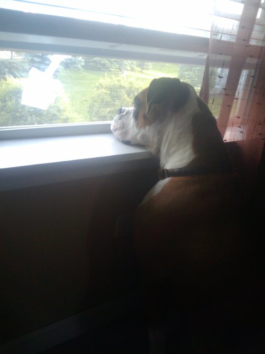 Evander_gazing_out_the_window