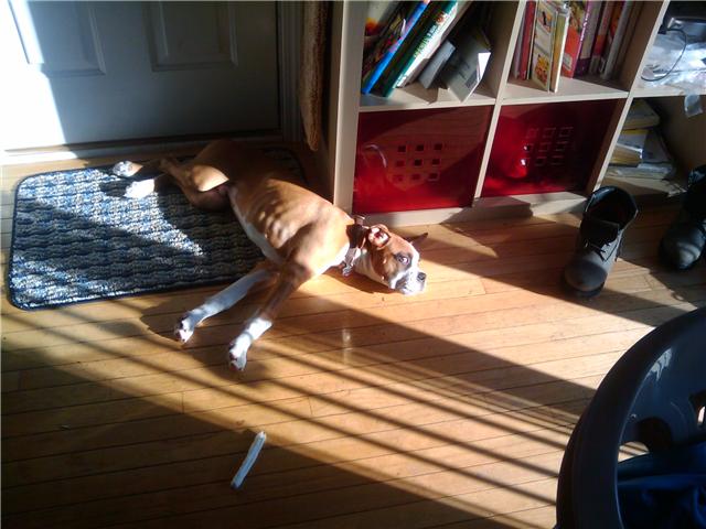 evander_in_the_sun