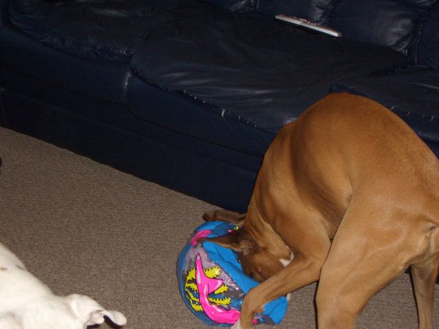 Even more ball fun...