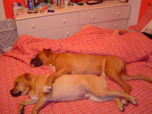 Even protecting in his sleep