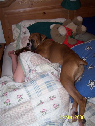 Ever been spooned by a Boxer???