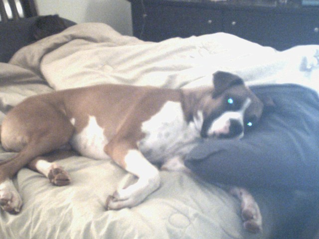 Every Morning the Same thing