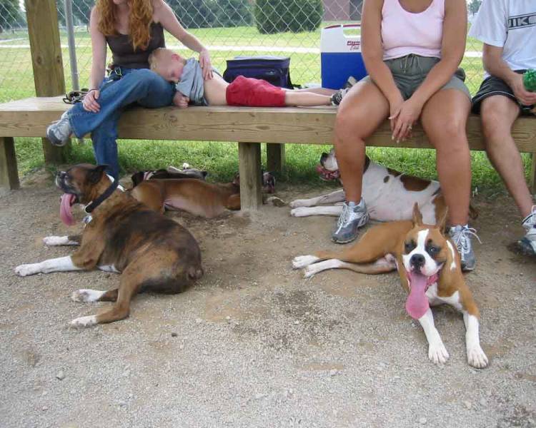 Everyone is tired!