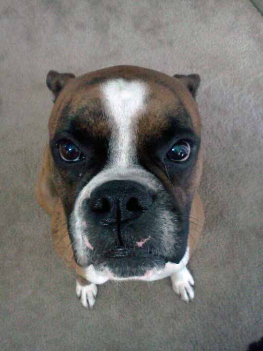 Everyone luvs this pic!!