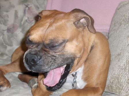 Everyone's A Comedian...