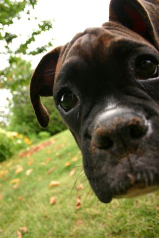 Evidence that Kramer is, in fact, digging that mysterious hole in the yard.