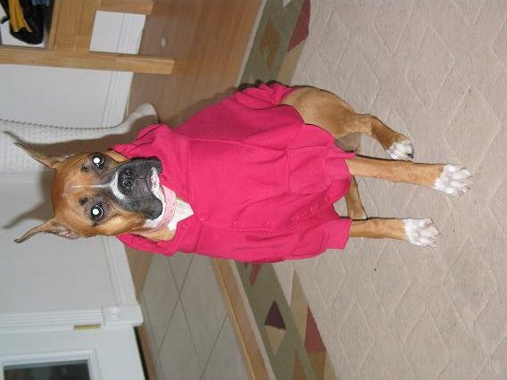 Evie's new Hoodie