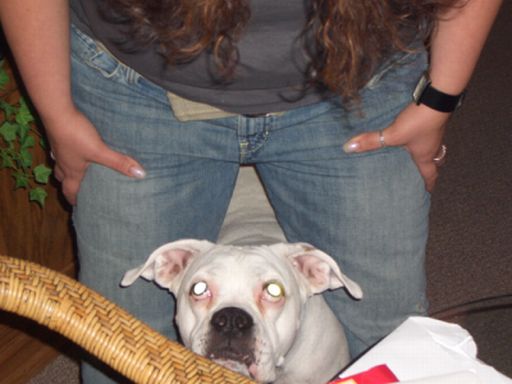 Evil Eyes