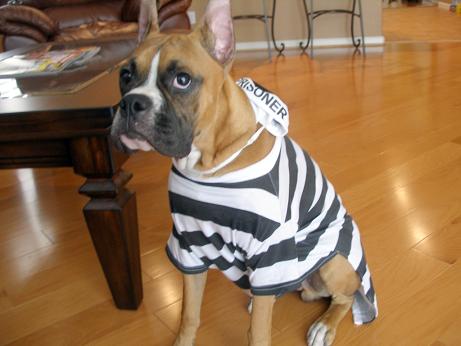 Ex-convict!