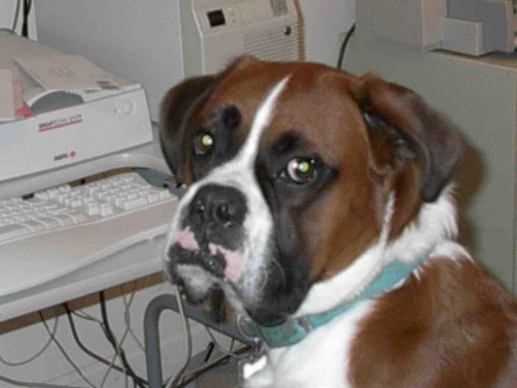 Excuse me, I'm busy here.