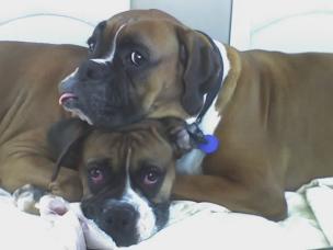 Exhausted at Christmas