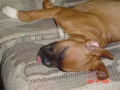 Exhausted