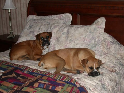 Extra Bedroom that is for us?