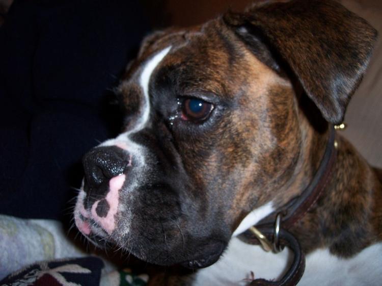 Extreme Close Up