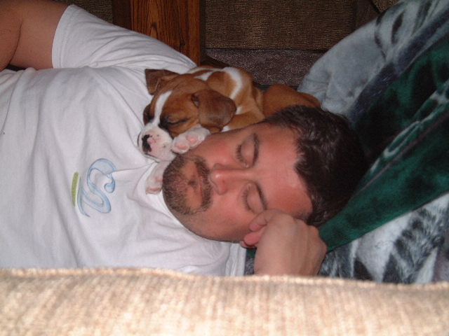 Extreme guard dog:)