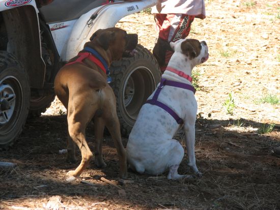 Falko and Annabelle getting ready