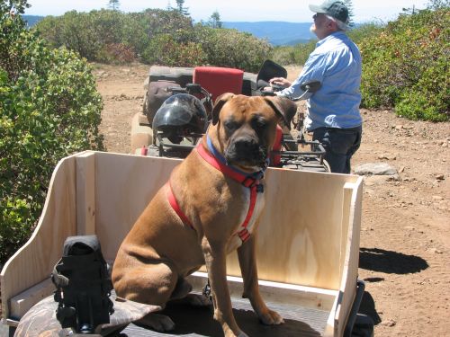 Falko on the back of my quad, Grandpa in the back