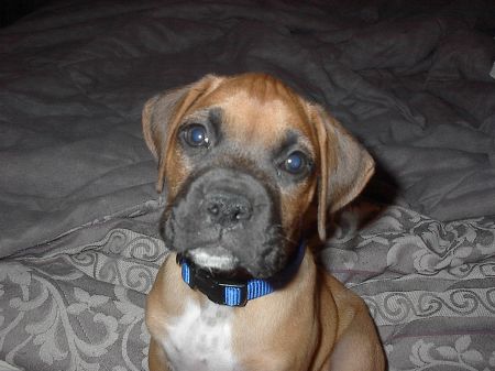 falko smiling
