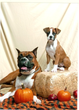 Fall Pictures
