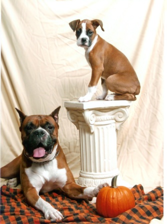 Fall Pictures