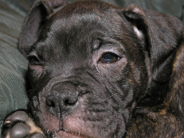 Falling asleep