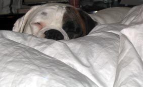 Falling to lala land on mommies bed