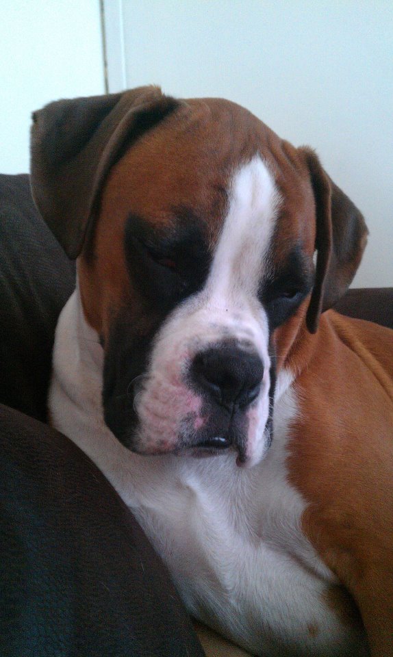 falling_asleep_sat_up