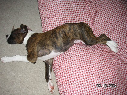 falling_off_the_pillow