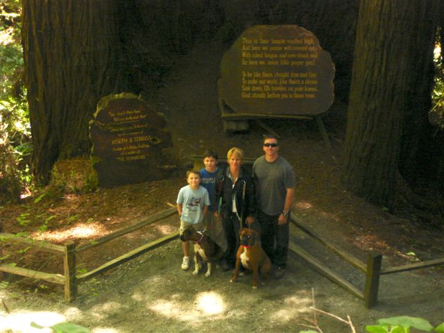 Family Trinity Tree