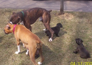 family