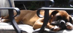 Fassst asssleeep zzzzzzzz