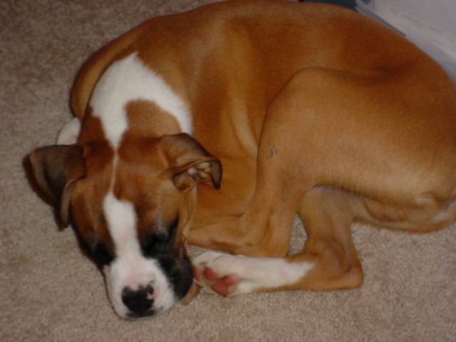Fast asleep...