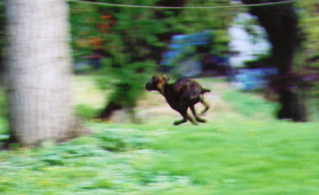 Faster than a Speeding Bullet