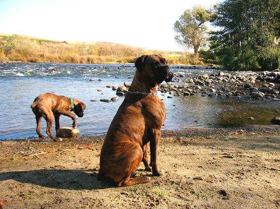 Father and son at the river