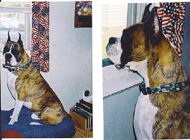 Father Odie