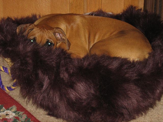 Faux Fur