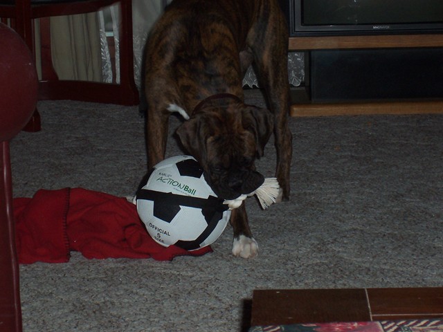Fav_Ball