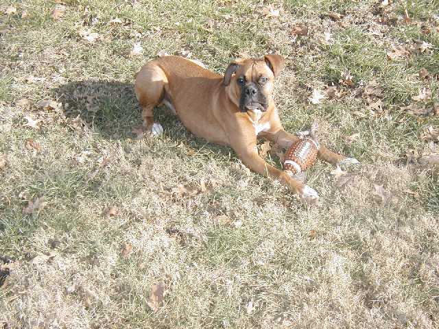 favorite toy