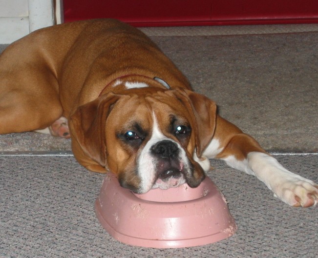 Feed me PLEASE!