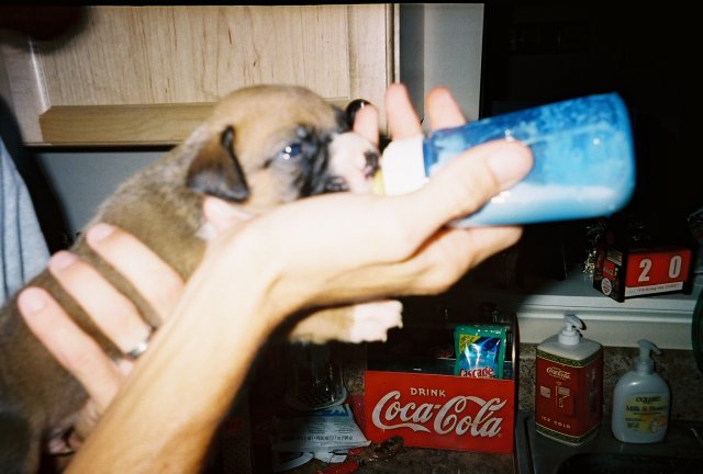 Feeding Time