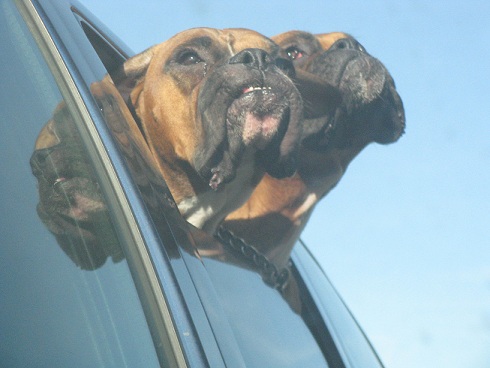 Feeling the breeze