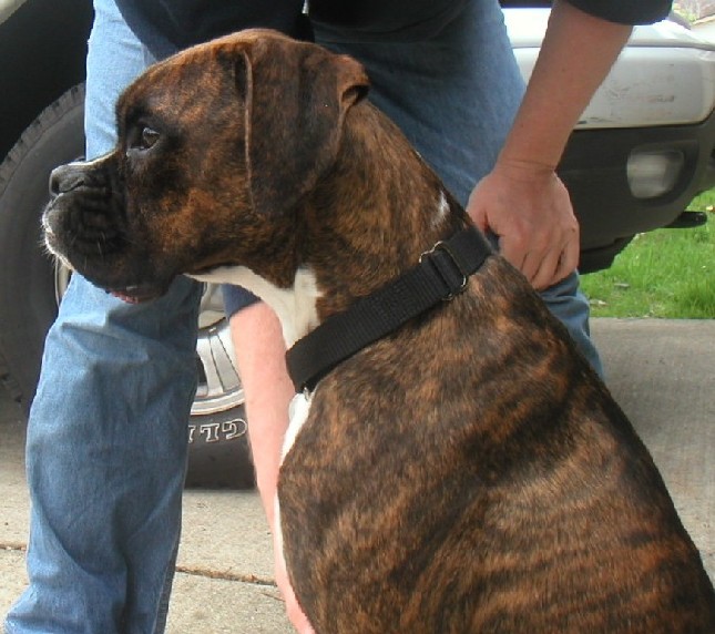 Fenway's Profile