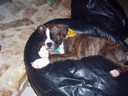 Finally asleep!