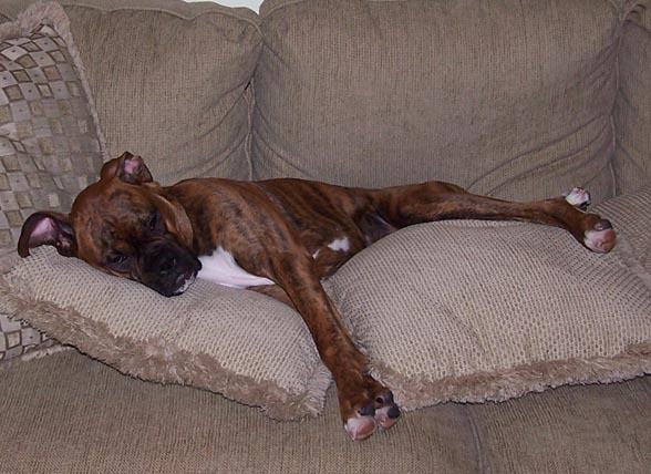 Finally, I have the pillow arranged to my specifications!