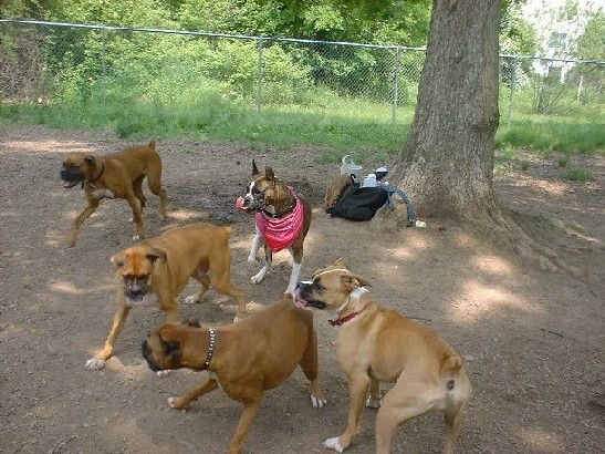 Finally, Same place at one time!!